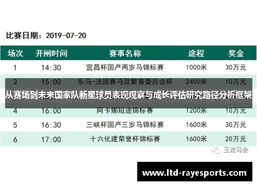 从赛场到未来国家队新星球员表现观察与成长评估研究路径分析框架